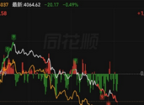 外资持股比例超24%的股票名单
